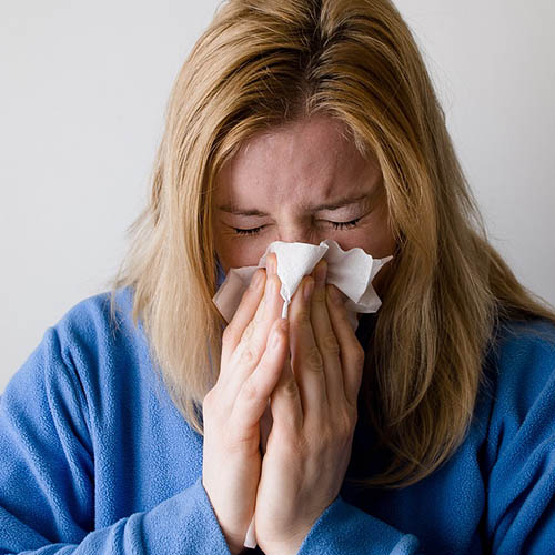 Vue interieure de la Pharmacie de l'Abbaye